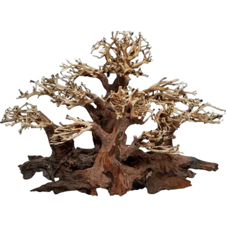 4FISH Tree roots Mini forest 50x25x30 cm