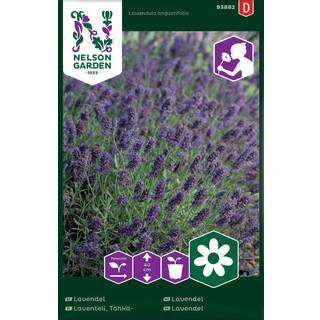 Ægte Lavendel