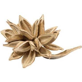 12-16 """" Bleget stjerne pod - 1pc