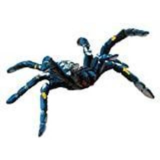 Blue ornamental tarantel 8,9x5,9x9,8cm