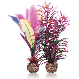 OASE biOrb Dekorationssæt parrot Feather M – Akvariepynt med Kunstig Plante