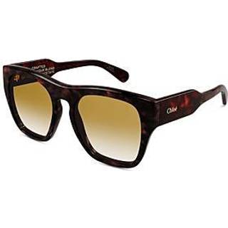 Chloé CH0149S 002 55 Solbriller Kvinder Tortoiseshell - Havana - 55mm