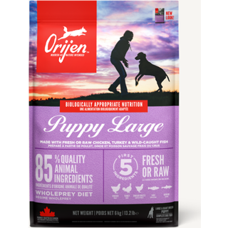 Orijen Puppy Large Breed hvalpefoder, 6 kg