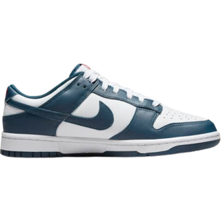 Nike Dunk Low Retro-sko til mænd - blå - 42.5