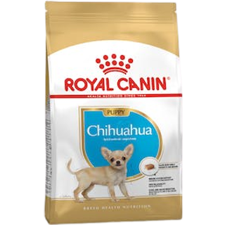 Chihuahua Puppy - 500 g