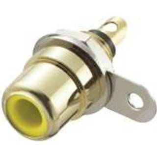 TRU COMPONENTS 719246 Cinch-stik Tilslutning,