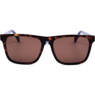 Sergio Tacchini ST5021 104 56 Solbriller Mænd Tortoiseshell - Dark Tortoise - 56mm