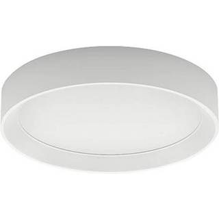 Tara R LED-loftlampe, rund, Ø 31 cm