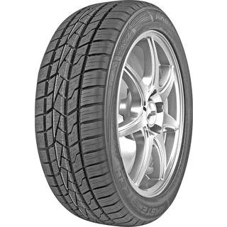 Mastersteel All Weather XL TL 3PMSF 225/55R17 101W