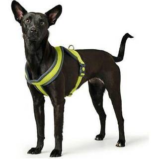 Hundesele Hunter London Comfort XS-S 39-47 cm Lime