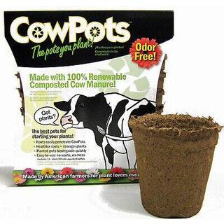 Cowpots TV208926 3 """" Round Cow Pot Planter (12 Pack) 175 ml