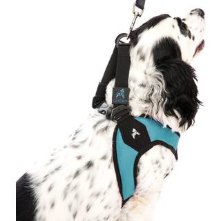 Gooby Turquoise X -Small Easy Fit Harness - No Pull Patentered Design til sm? hunde med hurtig frigivelse Buckle