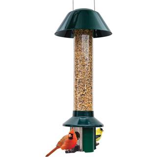 Roamwild Pestoff 2.0 Squirrel Proof Wild Bird Feeder Mixed Seed Sunflower Heart Version - Green - Kæmpe 4 kg frøkapacitet - 26 x8 x8 (w/bøjle)
