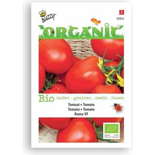 Buzzy Organic blommetomat Roma VF, økologiske frø