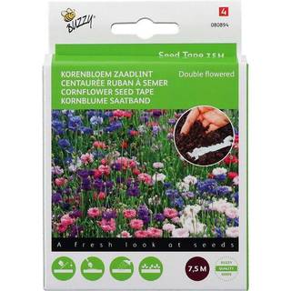 Buzzy kornblomst Double Flowered Mix såbånd