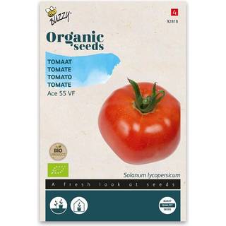 Buzzy Organic tomat Ace 55, økologiske frø
