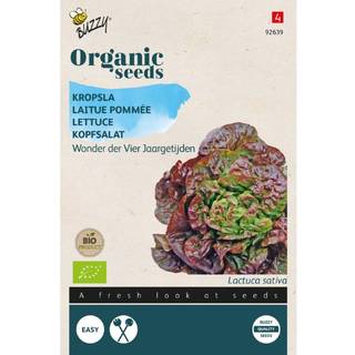 Buzzy Organic hovedsalat Merveille des 4 saisons, økologiske frø