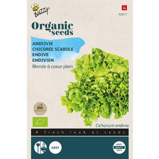 Buzzy Organic endiviesalat Blonde A Coeur Plein, økologiske frø