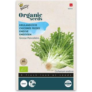 Buzzy Organic frisésalat Grosse Pancali, økologiske frø