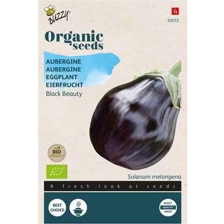 Buzzy Organic aubergine Black Beauty, økologiske frø