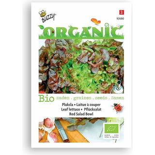Buzzy Organic pluksalat Red Salad Bowl, økologiske frø