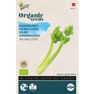 Buzzy Organic bladselleri Tall Utah 52/70, økologiske frø