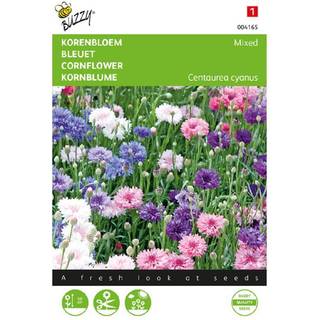 Buzzy kornblomst Double Flowered Mix frø