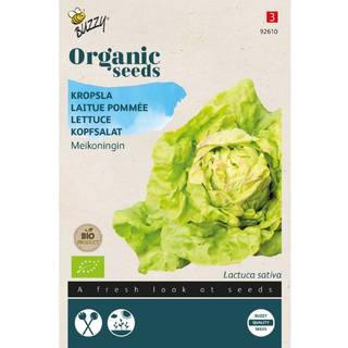 Buzzy Organic hovedsalat May Queen, økologiske frø