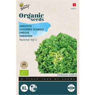 Buzzy Organic endiviesalat Vijf 2, økologiske frø