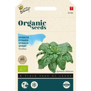 Buzzy Organic spinat Giant Winter, økologiske frø