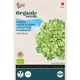 Buzzy Organic pluksalat Green Salad Bowl, økologiske frø