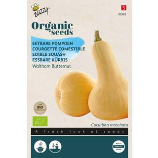 Buzzy Organic butternut squash Waltham, økologiske frø