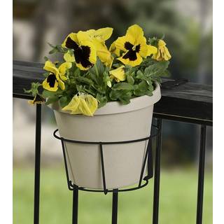 Panacea 89049 Ring over d?kket Justerbar blomsterpotteholder sort 8-tommer