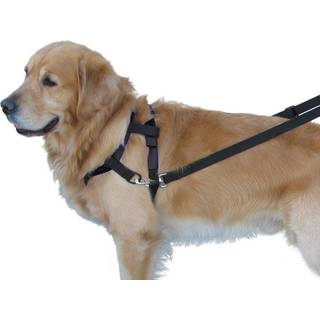TOP WALK