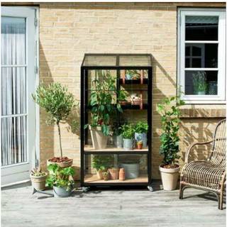 Juliana Urban City Greenhouse vægdrivhus, 0,32 m², sort med 4 mm hærdet glas