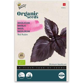Buzzy Organic basilikum, Red Rubin, økologiske frø