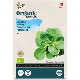 Buzzy Organic vårsalat Grote Noordhollandse, økologiske frø