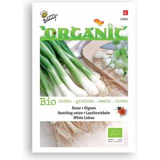 Buzzy Organic forårsløg White Lisbon, økologiske frø