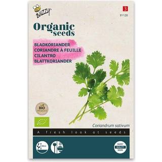 Buzzy Organic koriander, økologiske frø