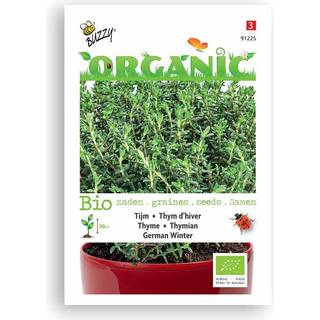 Buzzy Organic timian, økologiske frø