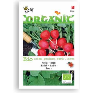 Buzzy Organic radise Saxa 2, økologiske frø