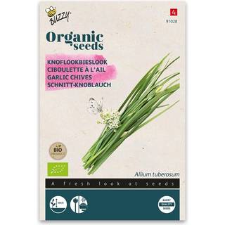 Buzzy Organic purløg, kinesisk, økologiske frø