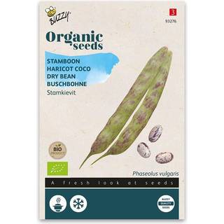 Buzzy Organic bønne Borlotto Kievit Low, økologiske frø