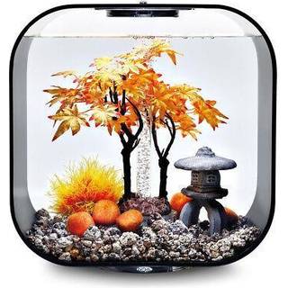 biOrb Dekorationssæt 30L Efterårsahornskulptur, orange mossten, havslilje og pagoda-lanterne til biOrb LIFE 30L+