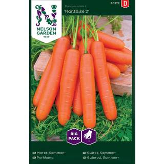 Sommergulerod 'Nantaise 2' Big Pack