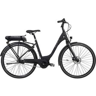 Winther Superbe 4 - 19" / 48 cm (168-175)