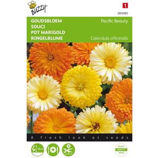 Buzzy morgenfrue Pacific Beauty Double Mix frø