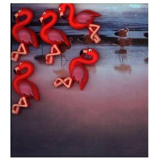 Flamingo Pink 5-pak - køleskabsmagneter
