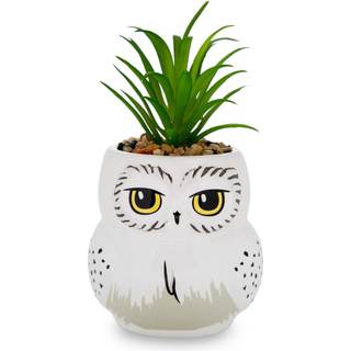 Harry Potter Hedwig Topf mit Pflanze