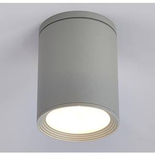 Rund loftlampe Mianna i sølvgrå